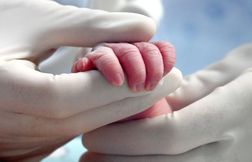 Une quinzaine de familles veut être partie civile dans l’affaire des agress…