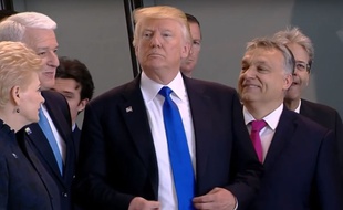 Donald Trump, juste après avoir brutalement poussé le Premier ministre du Monténégro