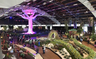 Les Floralies de Nantes 2019