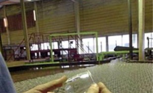 Les ouvriers atteints d'un cancer occupaient différents postes .