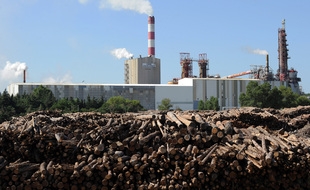 L'usine Fibre Excellence de Tarascon