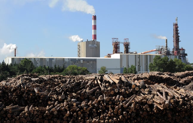 Bouches-du-Rhône : L'offre de reprise de l'usine à papier Fibre Excellence validée par la justice