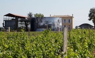 Le domaine La Grâce Dieu des Prieurs (saint-émilion)