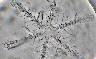 Un flocon de neige vu au microscope.