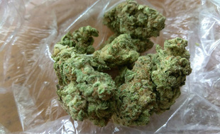 De l'herbe de cannabis (illustration).