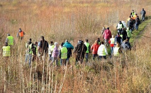 La battue organisée dimanche dans les environs de Ribécourt-Dreslincourt, commune de l'Oise où Bruno, un adolescent trisomique de 17 ans, a disparu le 18 décembre, s'est terminée en début de soirée, sans découvrir de nouvel élément, a-t-on appris auprès des gendarmes.