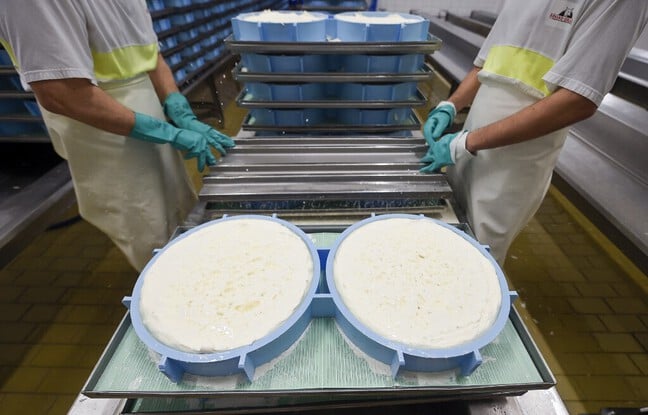 Risque de listériose : Six fromages vendus dans les supermarchés depuis la mi-mars sont rappelés