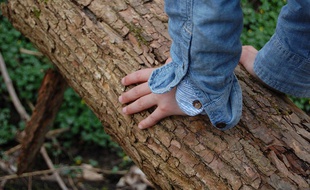 Un adolescent dans une forêt