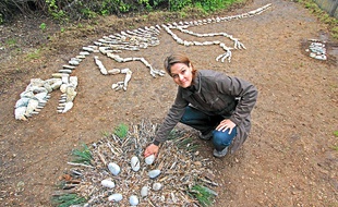 L'artiste Cathy Cuby a créé Dino avec des pierres de l'île.