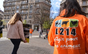 Une manifestation de L214, le 27 mars 2021 à Grenoble.