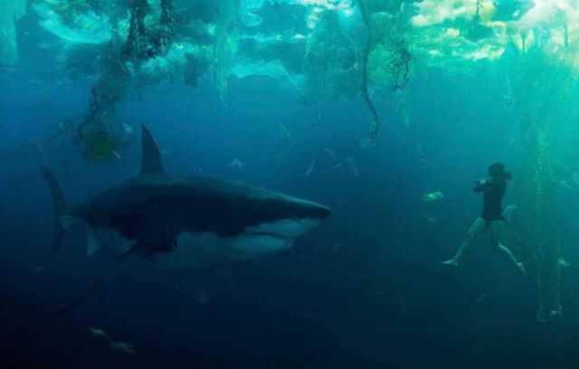 Au fond de la Seine il y a des déchets, des Vélib', des lunettes de soleil de touristes et… un requin géant !!!! En 2024, à quelques semaines des JO de Paris, « Sous la Seine » mettait un bon coup de flippe aux triathlètes qui allaient concourir dans la capitale. Un film rafraîchissant qui nous rappelle que la baignade dans la Seine sera ouverte à compter du 5 juillet prochain. Qui plonge en premier ?