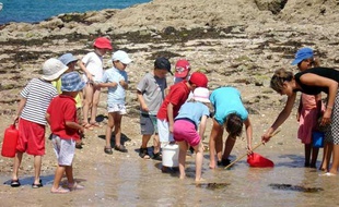 Le 20 juillet 2006 - Une colonie de vacances à Saint-Lunaire en Bretagne. Observation de la faune et la flore à marée basse.
