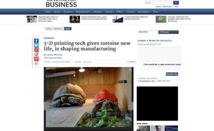 Capture d'écran du site du «Denver Post», montrant la tortue Cléopâtre et sa coquille de protection imprimée en 3D.