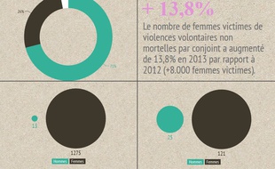 Chiffres sur les violences conjugales, 2013.