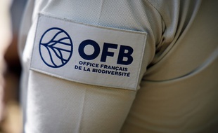 Un agent de l'Office français de la biodiversité. (Illustration)