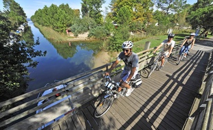 Des cyclistes sur l'itinéraire Vélodyssée dans les Landes.