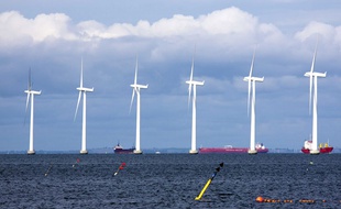 Illustration d'un parc éolien off-shore au Danemark, alors qu'il n'existe pas encore de tels parcs en France.