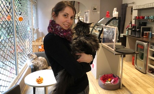 Elise Jeantet, gérante du bar à chats La Maison d'Elise.