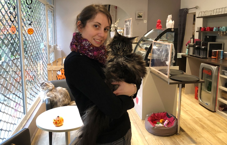 Nantes Six Ans Apres Le Dernier Bar A Chats De La Ville Ferme Ses Portes