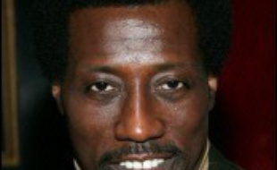 L'acteur américain Wesley Snipes est poursuivi en justice par son ancien agent qui lui réclame 2 millions de dollars de commissions, arguant d'une rupture de contrat, a-t-on appris lundi de source judiciaire à Los Angeles.