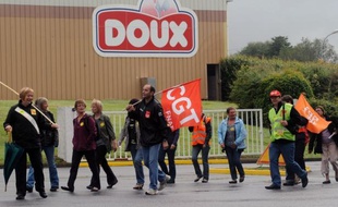 Le tribunal de commerce de Quimper rend mercredi sa décision sur le devenir du groupe volailler Doux : il devra principalement trancher entre une offre de reprise et le plan de continuation du PDG Charles Doux, deux scénarios impliquant de nombreuses suppressions d'emplois.