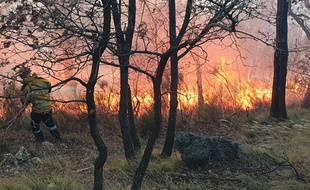 Un incendie dans les Alpes-Maritimes en février dernier.