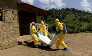 Des membres de la Croix-Rouge portent le corps d'une victime du virus Ebola à Macenta, en Guinée, le 21 novembre 2014