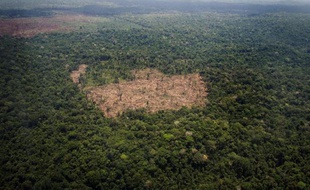 Vue aérienne d'une clairière laissée par la déforestation dans la forêt amazonienne brésilienne, le 14 octobre 2014
