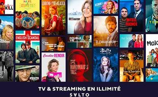 Salto est le fruit du partenariat de France Télévisions, TF1 et M6.