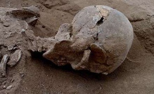 Violemment matraqué, cet homme est l'une des victimes d'un massacre perpétré au Kenya il y a 10.000 ans et découvert par des archéologues en janvier 2015.