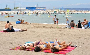 Les vacanciers pourront s'informer de la qualité de l'eau avant de piquer une tête dans la mer