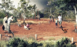 Dans le futur parc Save, il sera possible d'approcher les lémuriens.