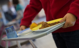 Illustration d'un plateau de cantine scolaire.