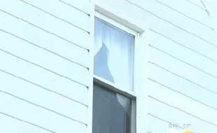 Capture d'écran d'un reportage de CBS sur un chat agressif, le 4 juin 2015.