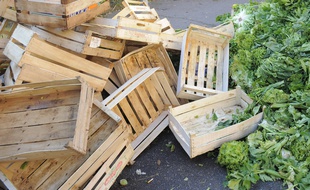 Illustration déchets sur les marchés.. Le 17 11 2008