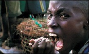 "Le Cauchemar de Darwin", sorti sur les écrans en 2005, est un pamphlet contre la mondialisation, l'exploitation à outrance des ressources naturelles, et la misère humaine autour du lac Victoria en Tanzanie. Ce documentaire, qui fait l'objet d'une polémique pour ses inexactitudes présumées, a reçu plusieurs prix dont, en France, le César 2006 du meilleur premier film.