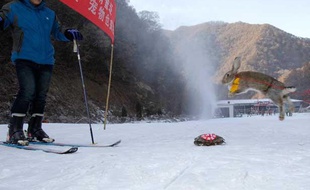 La tortue a battu un lapin lors d'une course à ski en Chine.