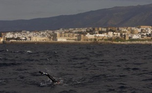 La petite ville andalouse de Tarifa, paradis des véliplanchistes et "kite-surfers", fait l'objet d'un projet de construction qui fait polémique: la mairie veut y faire bâtir 350 maisons et des hôtels offrant 1.400 places. En tout, 84.000 mètres carrés construits sur un terrain de 70 hectares.