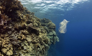 Les fonds marins de la planète sont jonchés d'environ 14 millions de tonnes de microplastiques issus de la décomposition des immenses quantités de déchets qui échouent chaque année dans les océans, selon l'agence nationale australienne pour la recherche.
