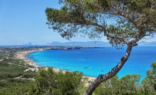 La verdoyante Formentera égraine son chapelet de plages et de criques face à des eaux aux nuances tropicales.