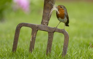 Pelouse ou légumes… Que faire pour réussir son jardinage de printemps ?