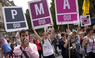 Des manifestants revendiquent l'accès à la PMA pour les couples de femmes/