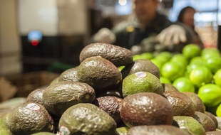 Les avocats ruinent les jeunes selon un millionnaire