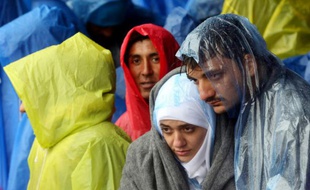 Des migrants attendent sous la pluie d'entrer en Slovénie le 19 octobre 2015 à Trnovec