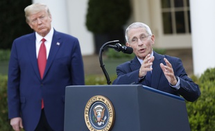 Anthony Fauci, directeur de l'Institut américain des maladies infectieuses et conseiller de Donald Trump sur la pandémie, à la Maison-Blanche le 29 mars 2020.