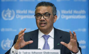 Tedros Adhanom Ghebreyesus à l'OMS