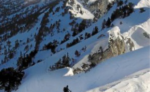 Les Grenoblois sont nombreux à choisir la Chartreuse pour leurs randonnées à ski.