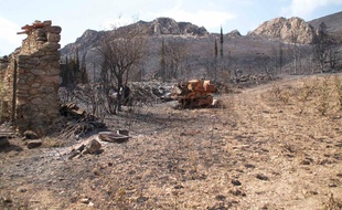 Le domaine de la Greffière, détruit par le feu, à Tuchan