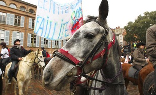 Environ 600 cavaliers en colère ont manifesté à pied, à cheval ou à poney à la main, pour protester contre la future hausse de la TVA pour les centres équestres qui menace selon eux 6000 emplois en France, à Toulouse le 12 novembre 2013.