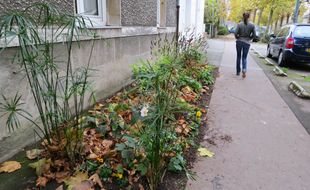 Quartier Sainte-Anne, la ville de Nantes a répondu à la demande de certains habitants en remplaçant une partie du trottoir par un parterre.